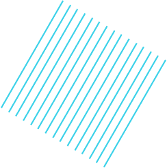 ZigZong