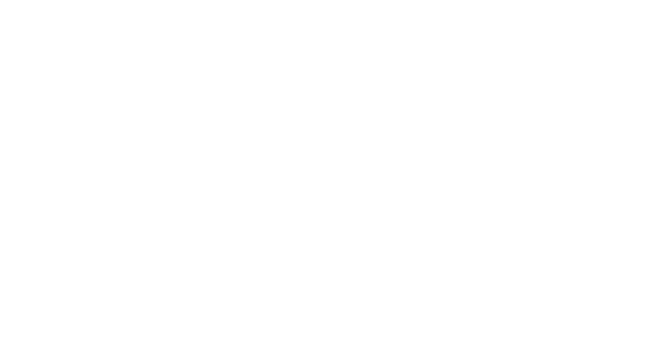 ZigZong