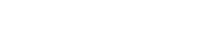 ZigZong