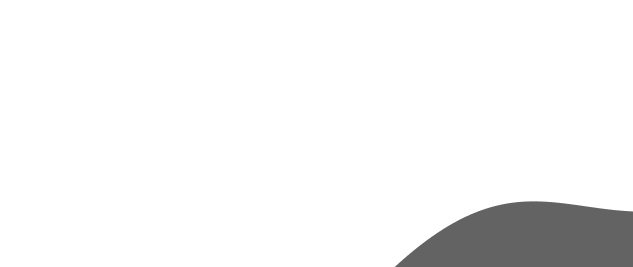 ZigZong