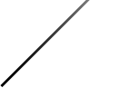 ZigZong