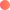ZigZong