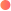 ZigZong